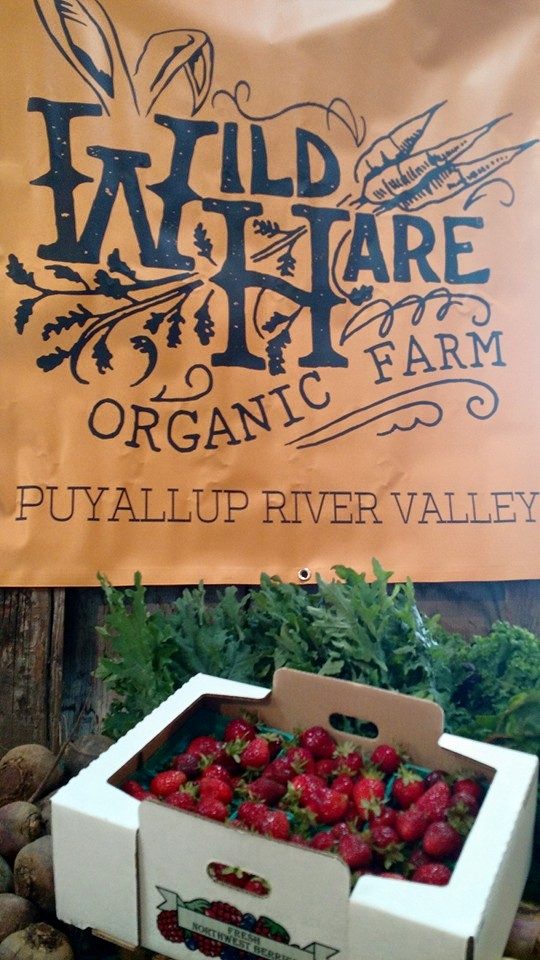 wildhare_farm_logo.jpg