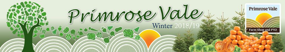 Primrose-Vale-Farm-Shop-PYO-Gloucestershire-Winter-2018-20191.jpg