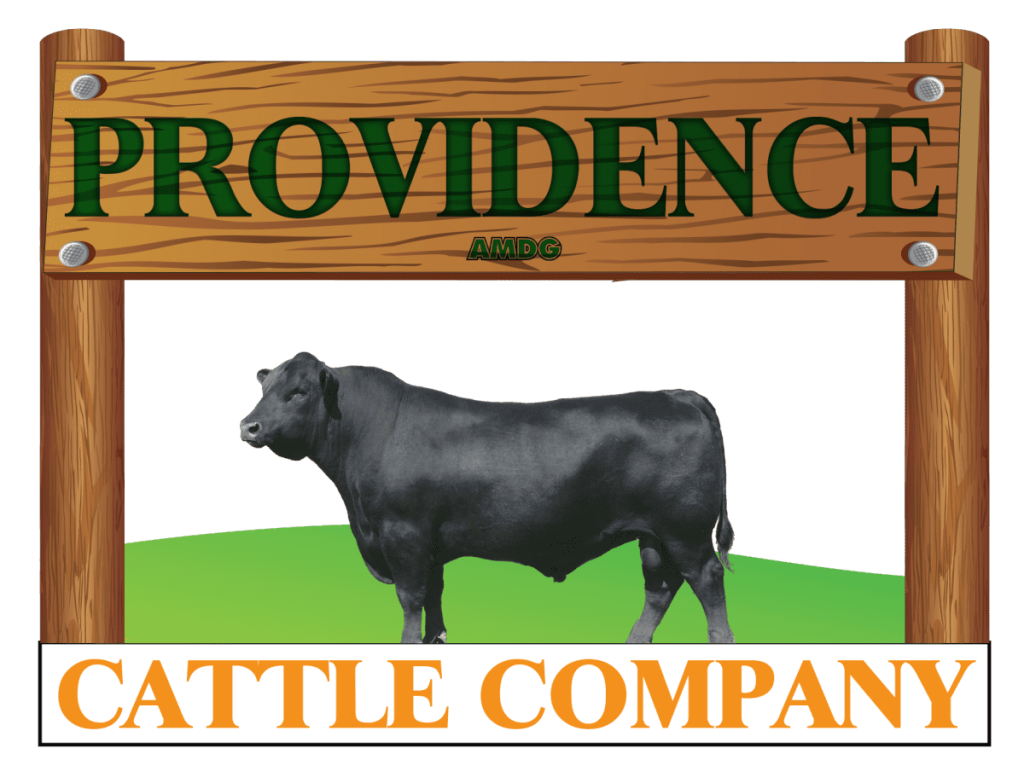 providence_cattle.png