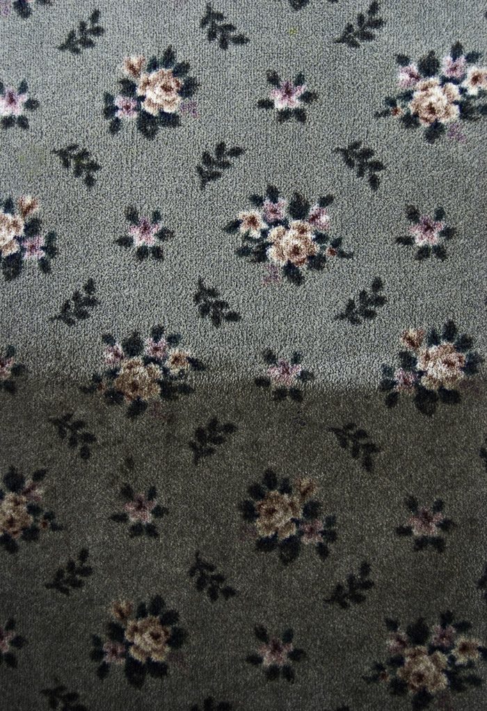 carpet-cleaning-snowmass-village-co-816152.jpg