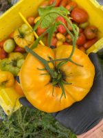 gamblecreekfarms_4.jpg