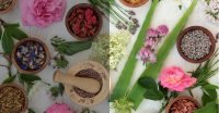 banner_natural_organic_1600x.jpg