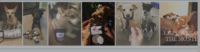 UCScreenshot20180407130930.png