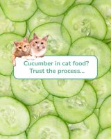 evermorepetfood_8.jpg