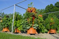gardentowerproject_4.jpg