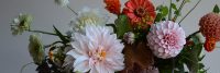 dahlia-mix-bouquet.jpg