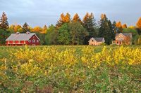 DSC_0176_edited-1.jpg