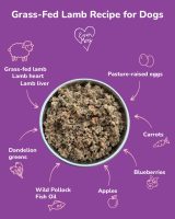 evermorepetfood_4.jpg