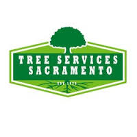 tree_services_sacramento.jpg