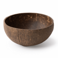 Coconut_Bowl_Natural_1_94d18e56-3913-4834-93ff-f3c7928b3775_700x.png