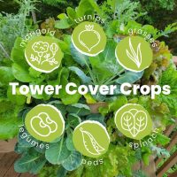 gardentowerproject_7.jpg