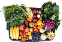 homepage_basket.png