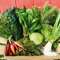blumenberryfarms_11.jpg