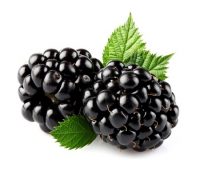 Blackberry_berry_kingdom.jpg