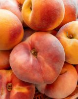 paradisefarms_7.jpg