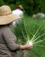 paradisefarms_12.jpg