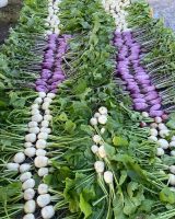 gamblecreekfarms_6.jpg