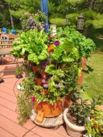 gardentowerproject_9.jpg