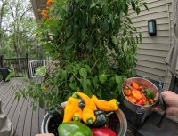 gardentowerproject_15.jpg