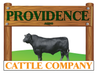 providence_cattle.png