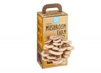 mushroom-farm-growing-kit_350x.jpg