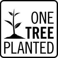 One_tree_planted.png