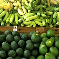 produce_circle.jpg