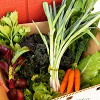 blumenberryfarms_10.jpg