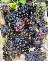 gamblecreekfarms_10.jpg