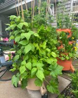 gardentowerproject_6.jpg