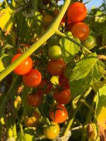 gamblecreekfarms_5.jpg