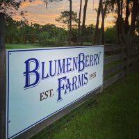 blumenberryfarms_7.jpg