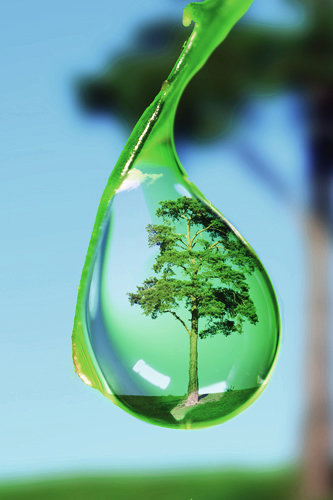 ¿Cómo vender un proyecto de conservación?