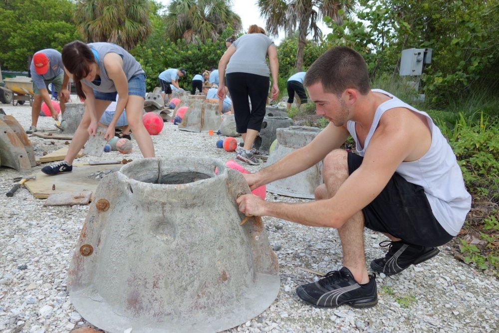 Build Oyster Domes with Tampa Watch