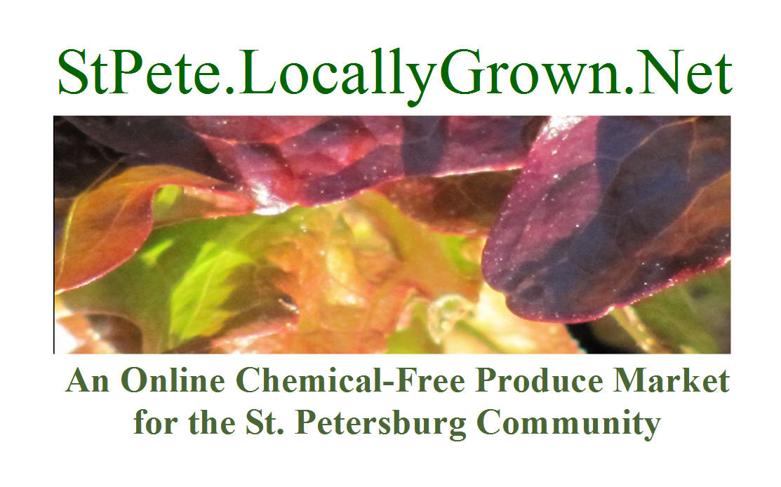 Successful Urban Farming in St. Petersburg