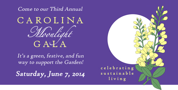 Carolina Moonlit Gala