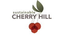 Sustainable Cherry Hill's Liney Ditch Park Cleanup