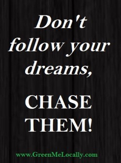 don't follow your dreams