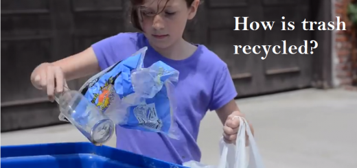 how trash is recycled video