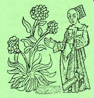 Wild Edible Plants Workshop