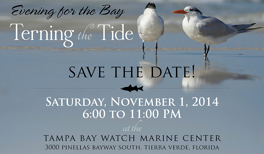 Terning the Tide Fundraiser