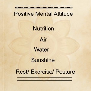 Six Steps for Immunity Workshop Image