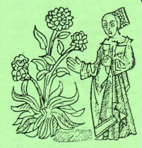 Willow LaMonte - square version