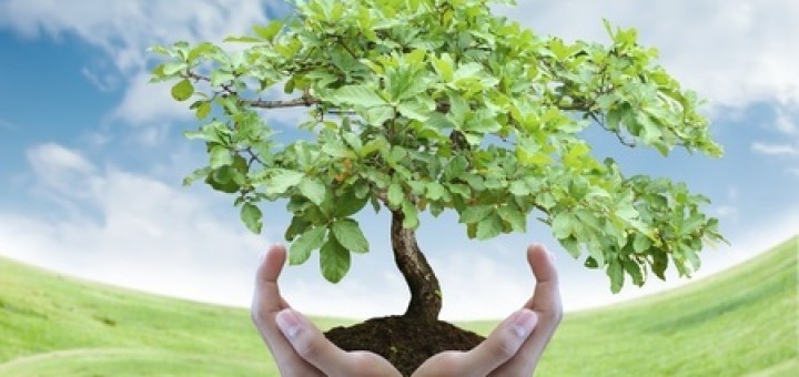 eco-friendly burials