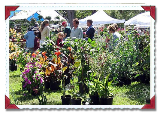 Green Fest University of Tampa
