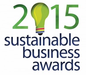 Flyer for Sustainable Business Awards