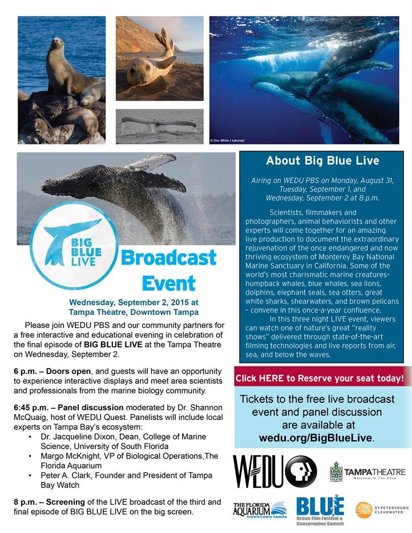 Big Blue Live Broadcast