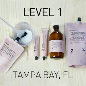 Oway Organic Colorist Training Tampa
