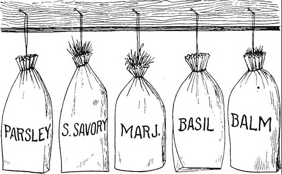 Healthy Cooking Demo: Seasonal Seasonings