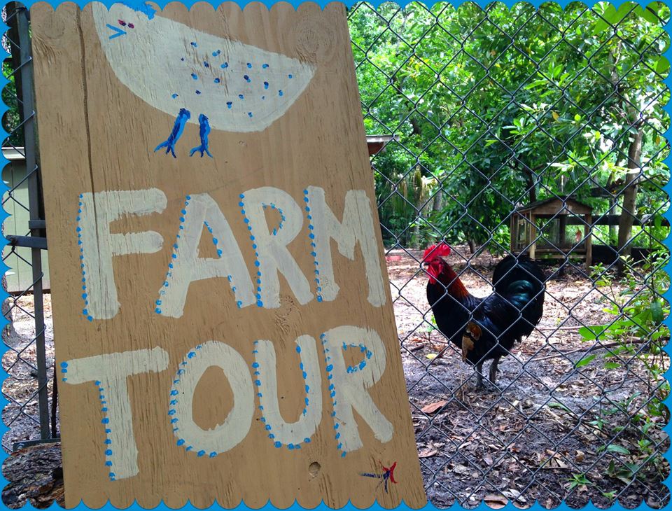 Sweetwater Farm Tour